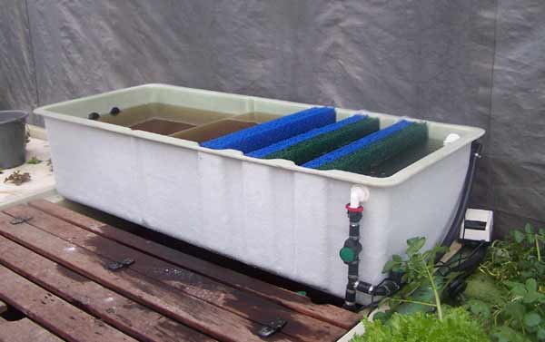 Solids Filter for Domestic Aquaponics systems.